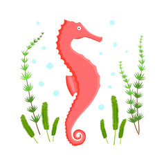 Coral seahorse animal flat character with spots and algae on white background. Cartoon hippocampus for design, logo, background, card, print, sticker