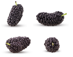 Set mulberry berry