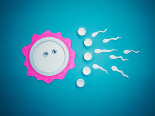contraception - contraceptive, egg cell and sperms - concept of sexual act