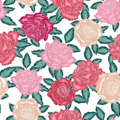 seamless pattern of hand drawn roses, vector