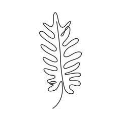 Tropical leaves line drawing art. Black and white art. Botanic vector illustration.