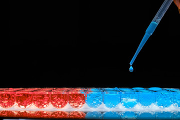 Pipette dropping blue liquid into cell container