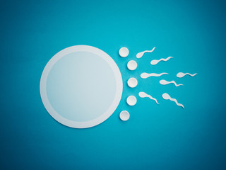 contraception - contraceptive, egg cell and sperms - concept of sexual act
