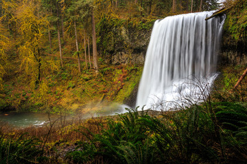 Middle North Falls View at Silver Falls State Park