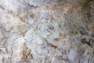 Texture of old gray concrete wall for background.selective focus.