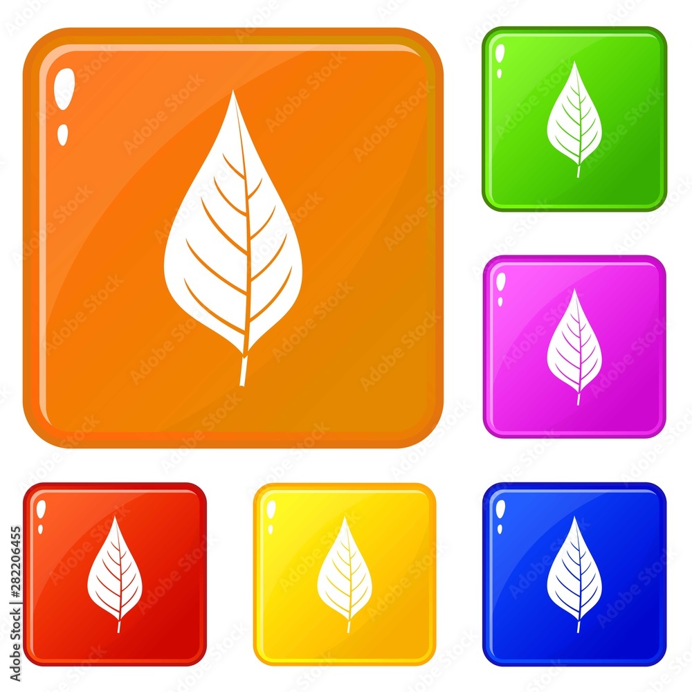 Poster apple tree leaf icons set collection vector 6 color isolated on white background