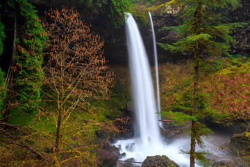 North Falls View at Silver Falls State Park