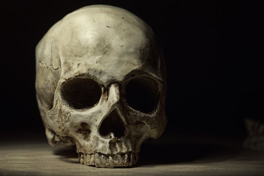 Skull of the reaper closeup photo