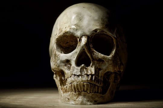 Skull of the reaper closeup photo