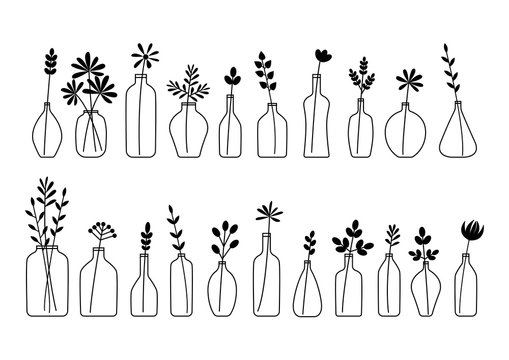 Set of leaves, flowers and branches in bottles and vases isolated on white