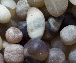 Natural small pieces of round agate macro