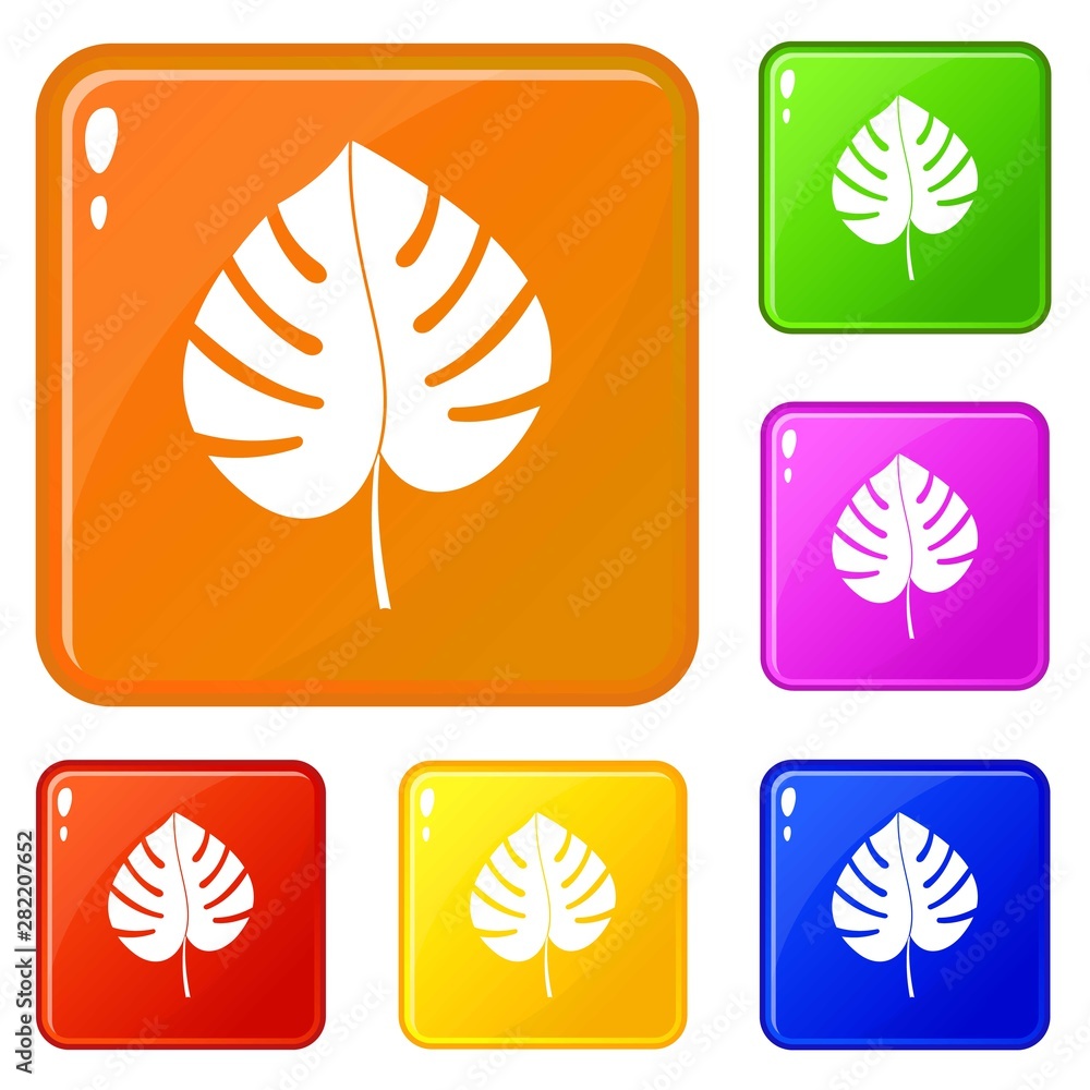 Poster leaf of monstera icons set collection vector 6 color isolated on white background
