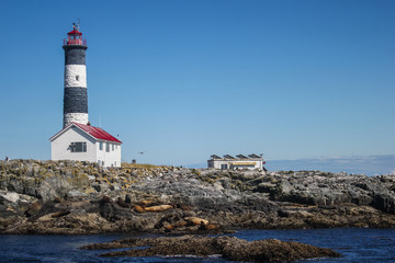 Race rocks lighthouse with sea-lions on the rocks, Victoria, Canada