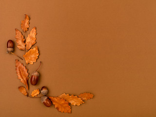 Autumn Or Thanksgiving border.