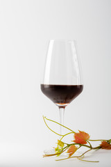 One wine glass on white background