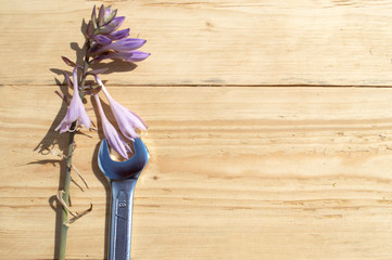 The repair tool lies with a purple hosta flower on a wooden background