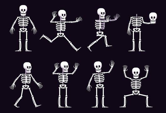 Cartoon Skeleton Images – Browse 104,300 Stock Photos, Vectors, and Video |  Adobe Stock