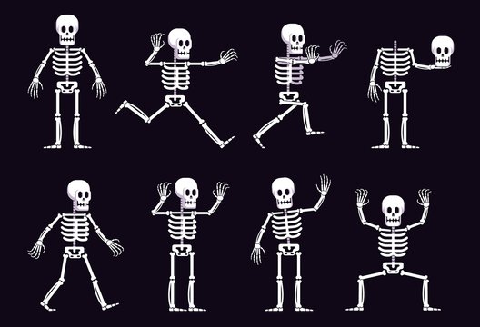 cute skeleton cartoon