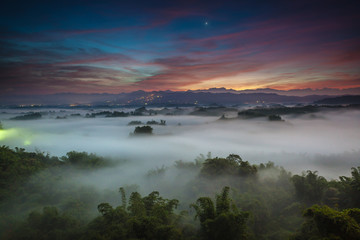 Fototapeta na wymiar Serene Daybreak at a Misty Bamboo Valley