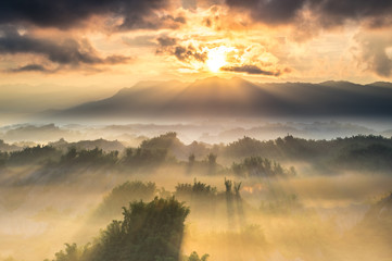 Bright Sunligalleys at Daybreak