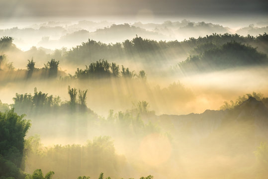 Bright Sunligalleys at Daybreak