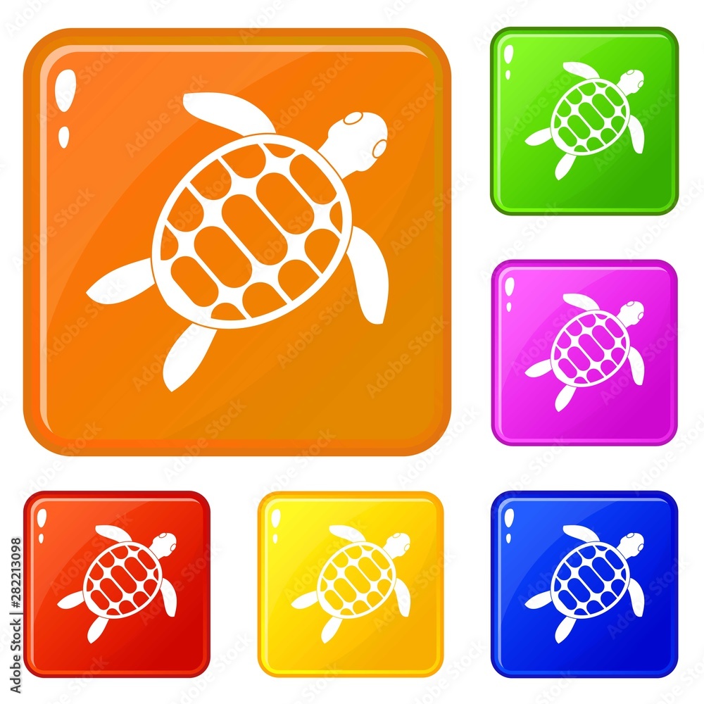 Poster turtle icons set collection vector 6 color isolated on white background