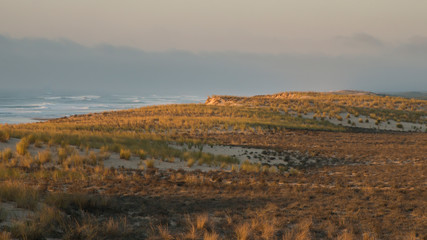 Fototapeta na wymiar Paysage des dunes