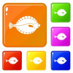 Flounder icons set collection vector 6 color isolated on white background