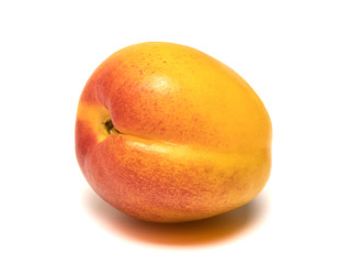 apricot lies on a white background