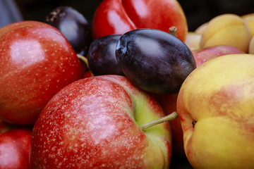 apples, plums, nectarine and apricots on the table