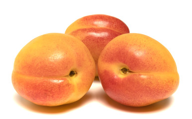 several apricots beautifully laid on a white background
