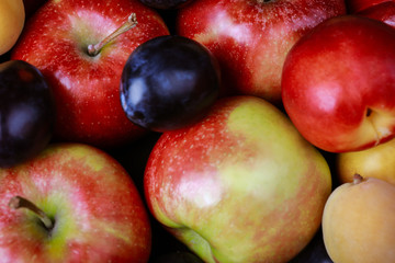 apples, plums, nectarine and apricots on the table