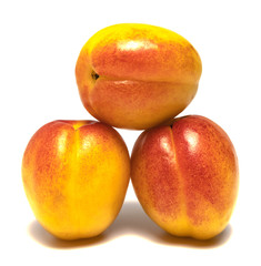 Fototapeta na wymiar several apricots beautifully laid on a white background