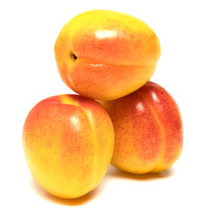 several apricots beautifully laid on a white background
