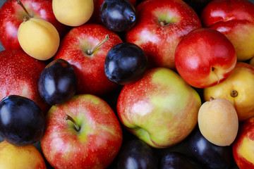 apples, plums, nectarine and apricots on the table