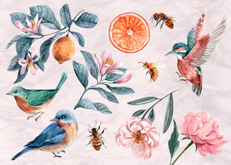 floral illustration, Leaf and buds. Botanic composition for wedding or greeting card. branch of flowers 