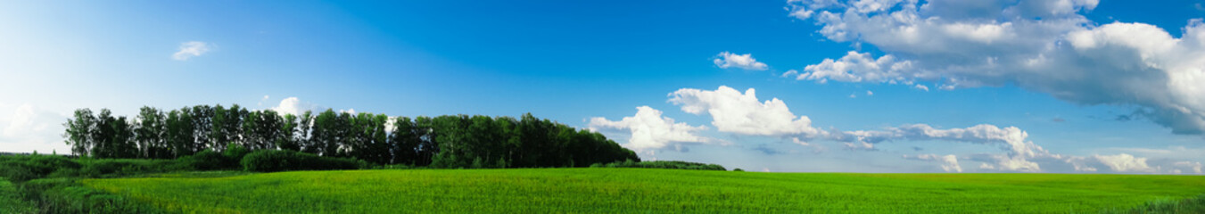 Fototapeta na wymiar blue sky with clouds and green field