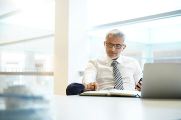 Relaxed mature businessman working in contemporary office