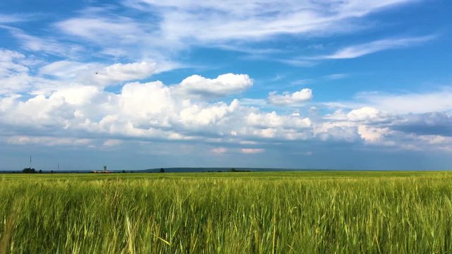 blue sky with clouds and green field