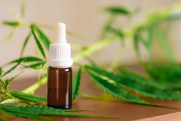 Cannabis plant herbal pharmaceutical CBD oil from jar. Wellness Hemp Cannabidiol. CBD oil bottles cannabis extract tincture liquid on wooden table. Medical marijuana concept. Place for copy space