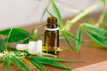 Cannabis plant herbal pharmaceutical CBD oil from jar. Wellness Hemp Cannabidiol. CBD oil bottles...