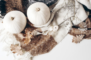 Autumn, cozy composition, winter scene with white pumpkins, dry oak leaves, gypsophila flowers, brown wool plaid on white table background. Thanksgiving, fall, Halloween concept. Flat lay, top view.