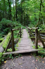 Holzbrücke in Bannwald