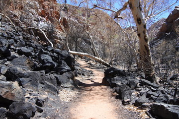 Der Weg zur Standley Chasm Schlucht nach einem Buschfeuer