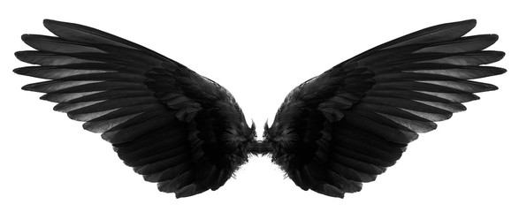 black wings on a white background