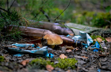 Destruction of nature. White mushroom grows in a landfill of toxic household garbage in the forest