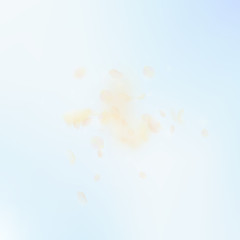 Yellow orange flower petals falling down. Posh rom