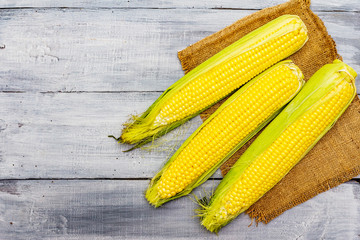 Fresh raw corn on cobs
