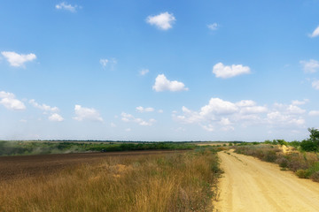 Summer landscape. Country road going to the horizon