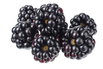 blackberries isolated on a white background. macro